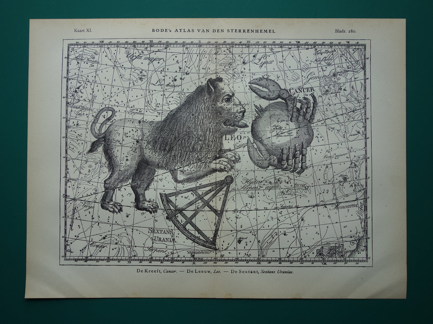 Leeuw en Schorpioen Oude astrologie prent van sterrenbeeld - Antieke sterrenkaart astronomie - Sterrenbeelden vintage print