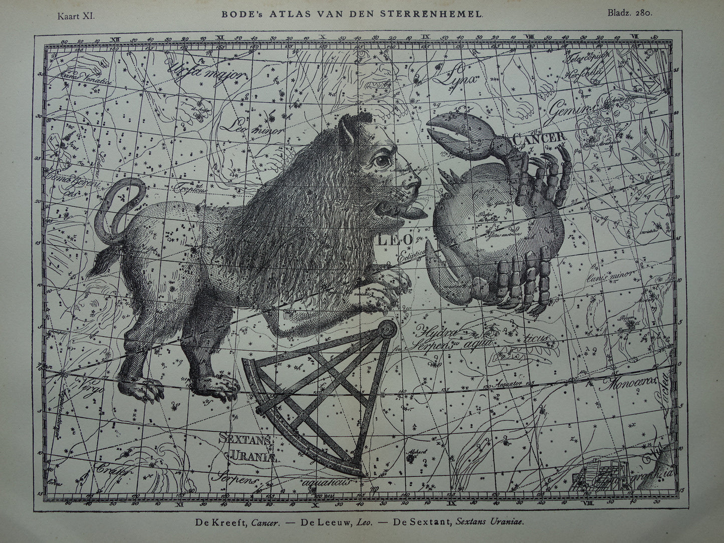 Leeuw en Schorpioen Oude astrologie prent van sterrenbeeld - Antieke sterrenkaart astronomie - Sterrenbeelden vintage print