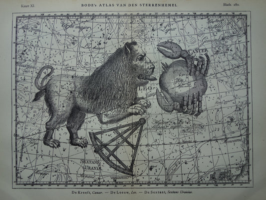 Löwe und Skorpion Alter Astrologiedruck des Sternzeichens - Antike Sternenkarte Astronomie - Sternzeichen Vintage-Druck