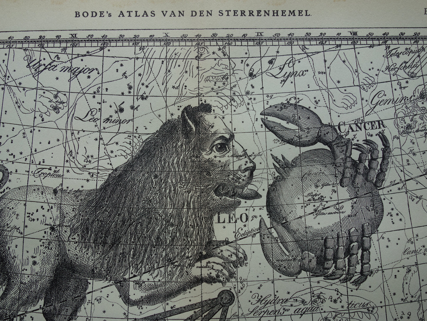 sterrenbeeld leeuw schorpioen cadeau vintage