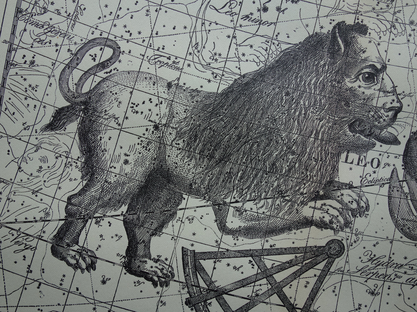 Leeuw en Schorpioen Oude astrologie prent van sterrenbeeld - Antieke sterrenkaart astronomie - Sterrenbeelden vintage print