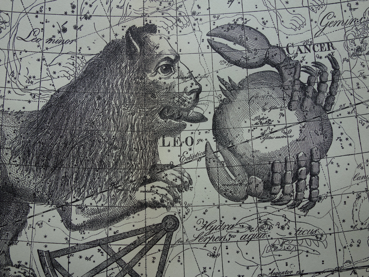 Leeuw en Schorpioen Oude astrologie prent van sterrenbeeld - Antieke sterrenkaart astronomie - Sterrenbeelden vintage print