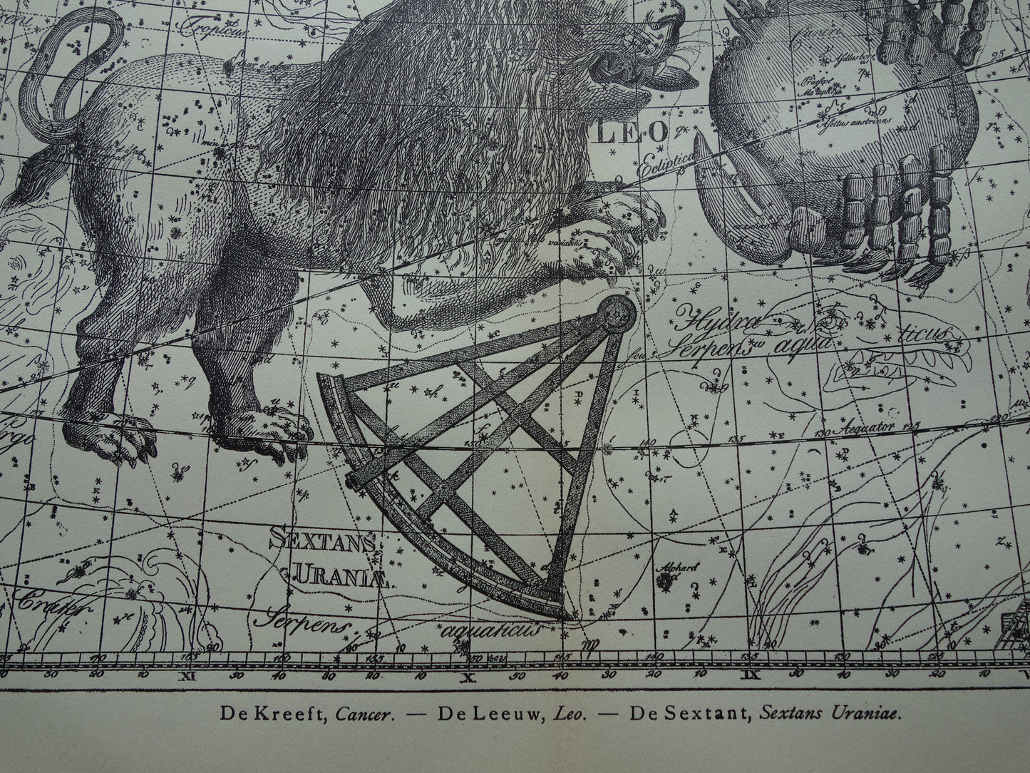 Leeuw en Schorpioen Oude astrologie prent van sterrenbeeld - Antieke sterrenkaart astronomie - Sterrenbeelden vintage print