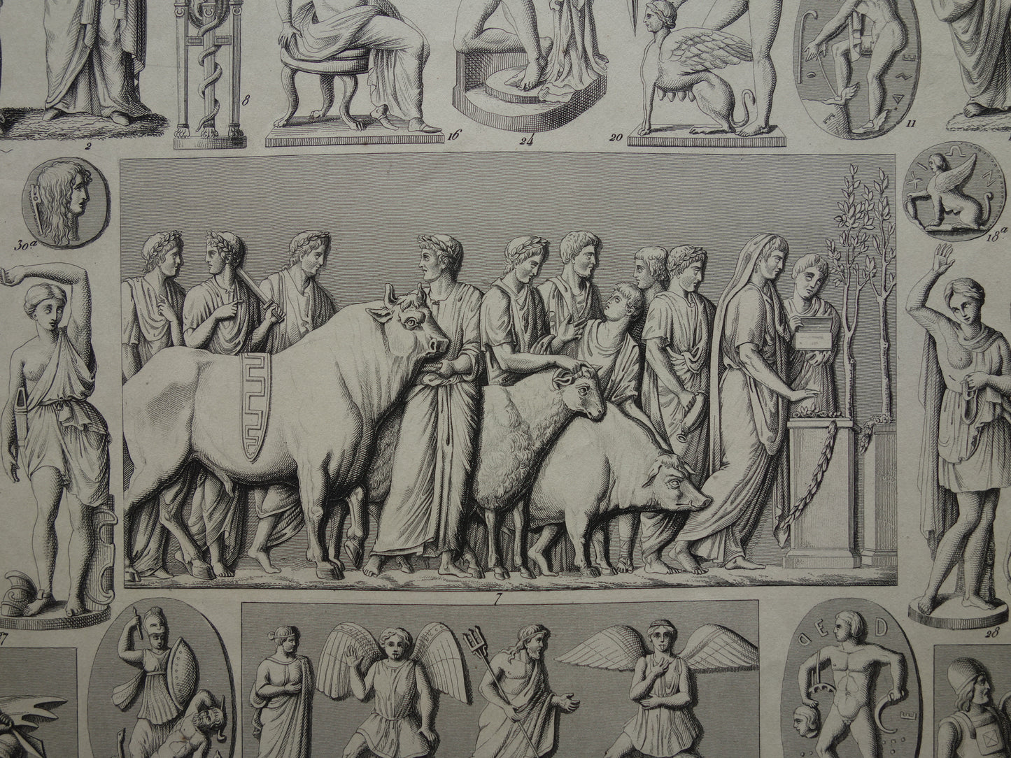 Griekse en Romeinse Goden uit de Oudheid 1849 oude illustratie Minotaur Amazone