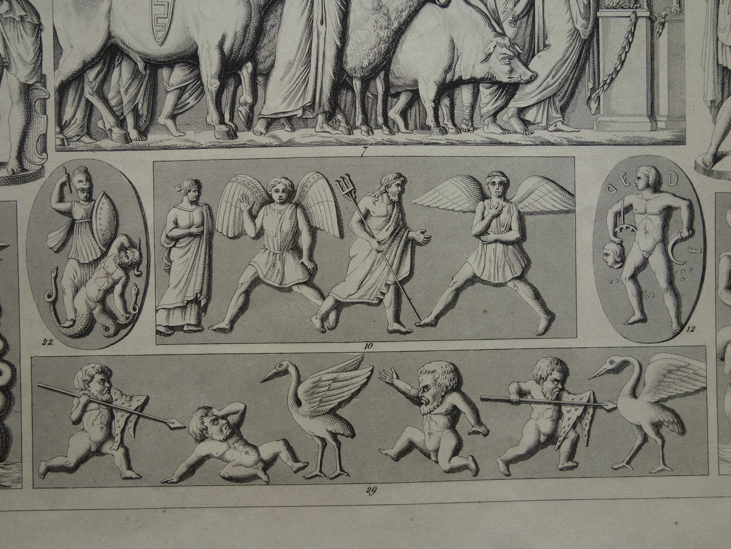 Griekse en Romeinse Goden uit de Oudheid 1849 oude illustratie Minotaur Amazone