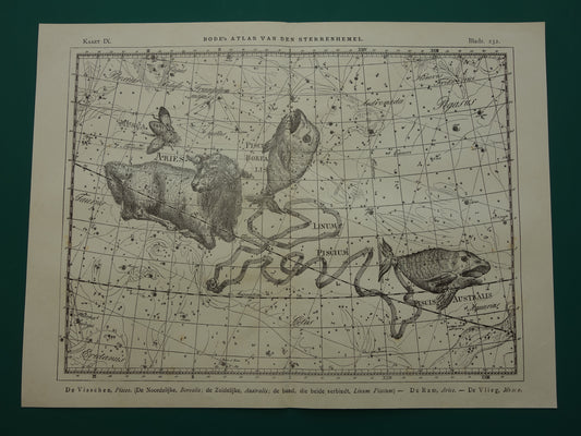 Vissen & Ram Sterrenbeeld Oude astrologie prent Antieke sterrenkaart astronomie sterrenbeelden vintage print