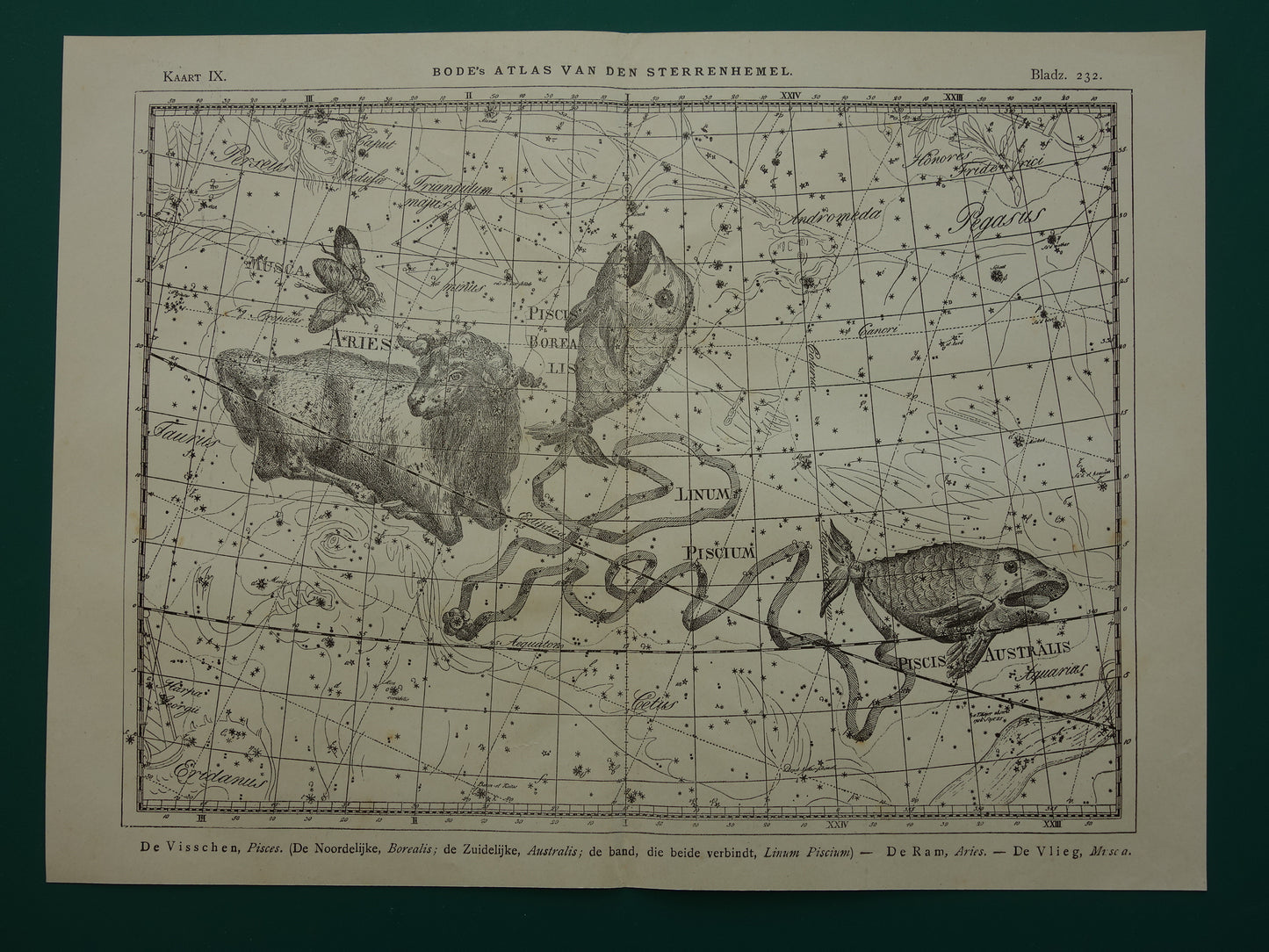 Vissen & Ram Sterrenbeeld Oude astrologie prent Antieke sterrenkaart astronomie sterrenbeelden vintage print