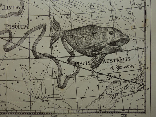 vintage horoscoop vissen