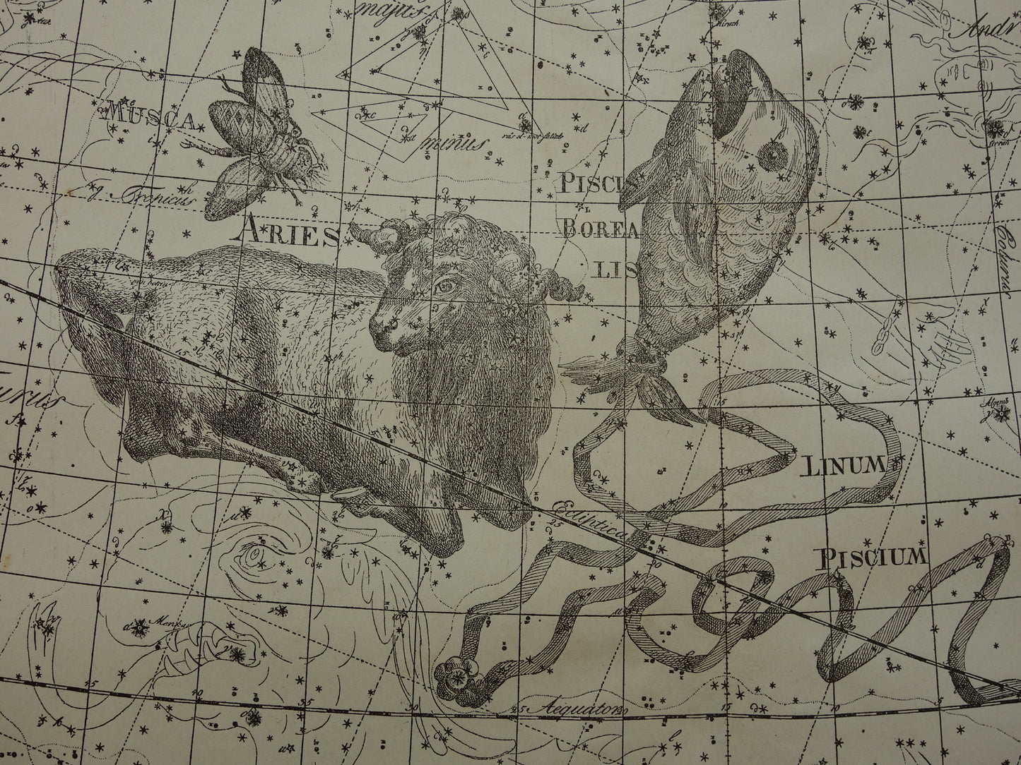 Vissen & Ram Sterrenbeeld Oude astrologie prent Antieke sterrenkaart astronomie sterrenbeelden vintage print