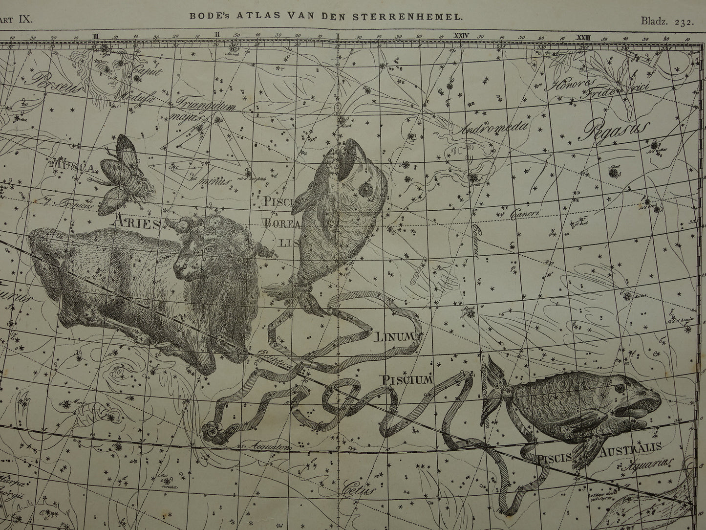 Vissen & Ram Sterrenbeeld Oude astrologie prent Antieke sterrenkaart astronomie sterrenbeelden vintage print