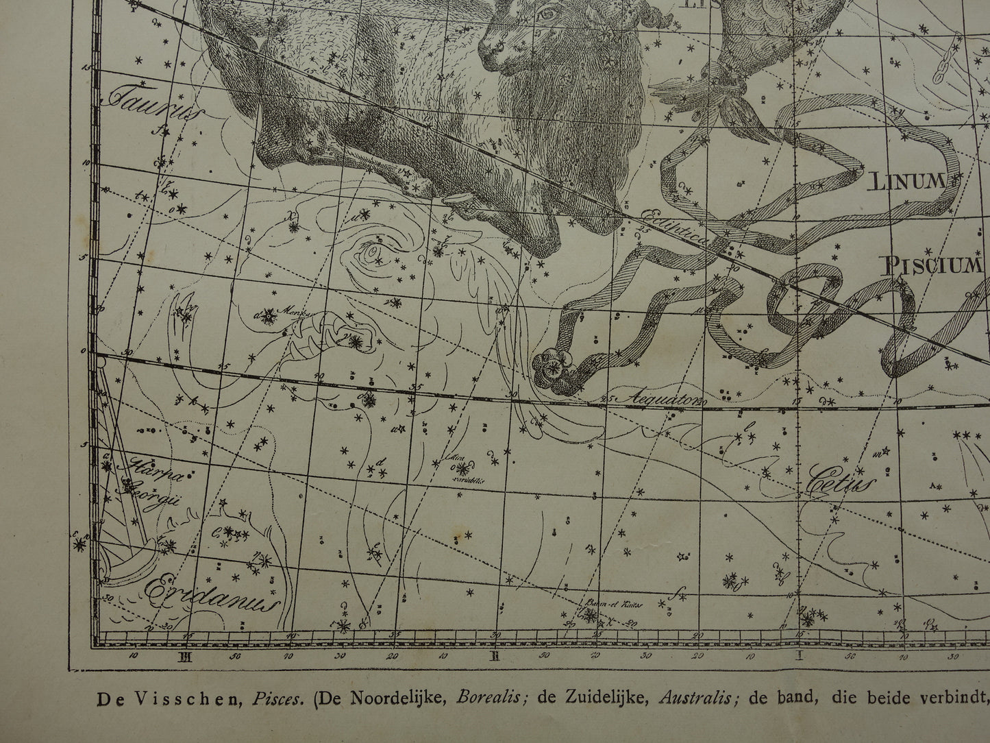 Vissen & Ram Sterrenbeeld Oude astrologie prent Antieke sterrenkaart astronomie sterrenbeelden vintage print
