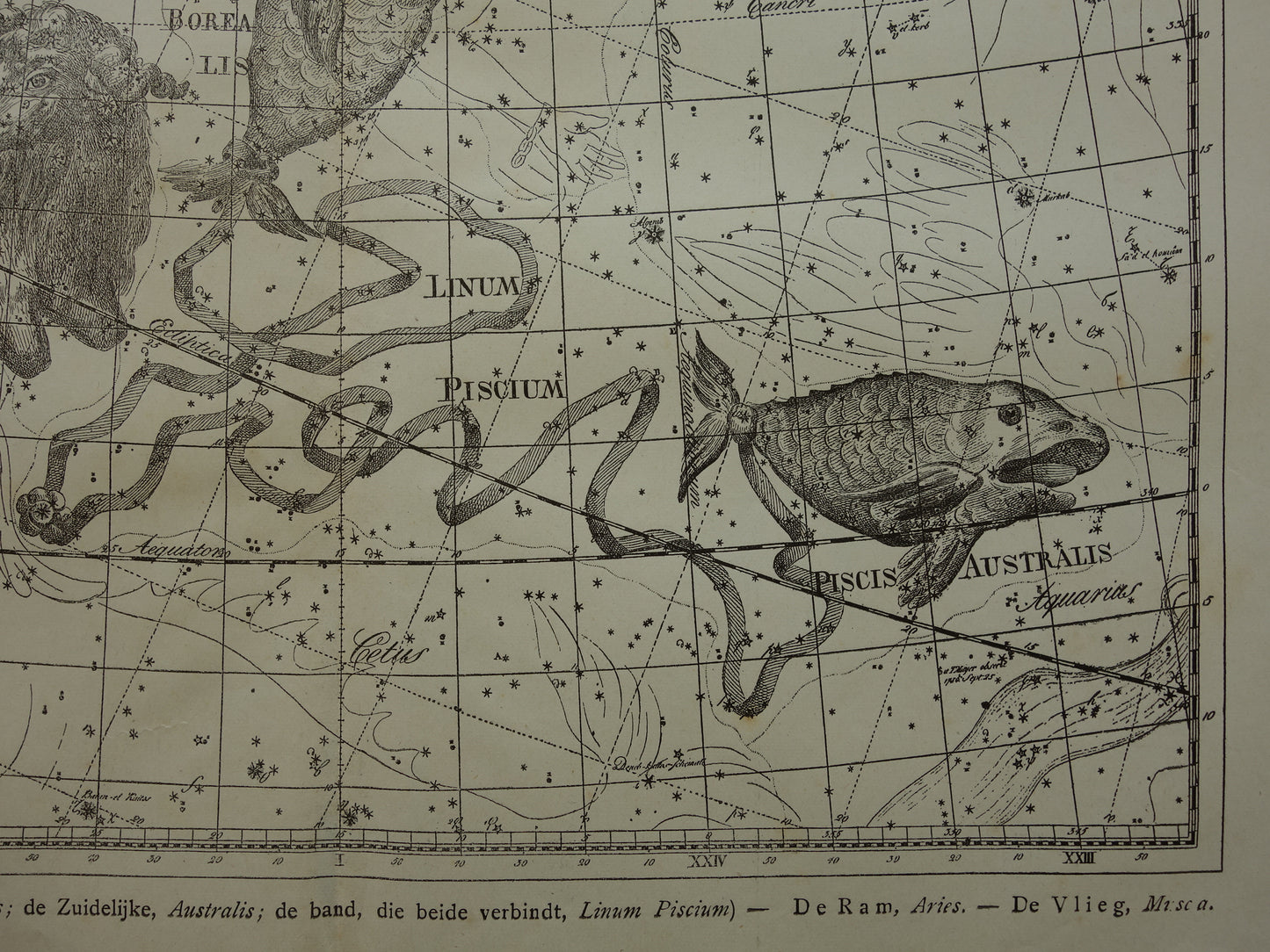 Vissen & Ram Sterrenbeeld Oude astrologie prent Antieke sterrenkaart astronomie sterrenbeelden vintage print