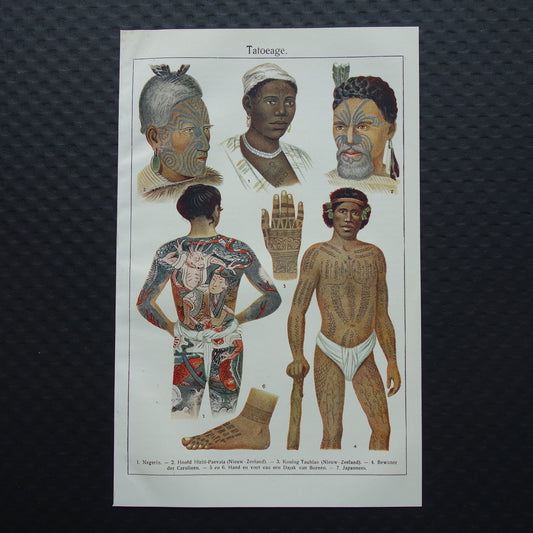 TATOEAGE oude prent uit 1922 Originele antieke Nederlandse illustratie Tatoeages vintage prints