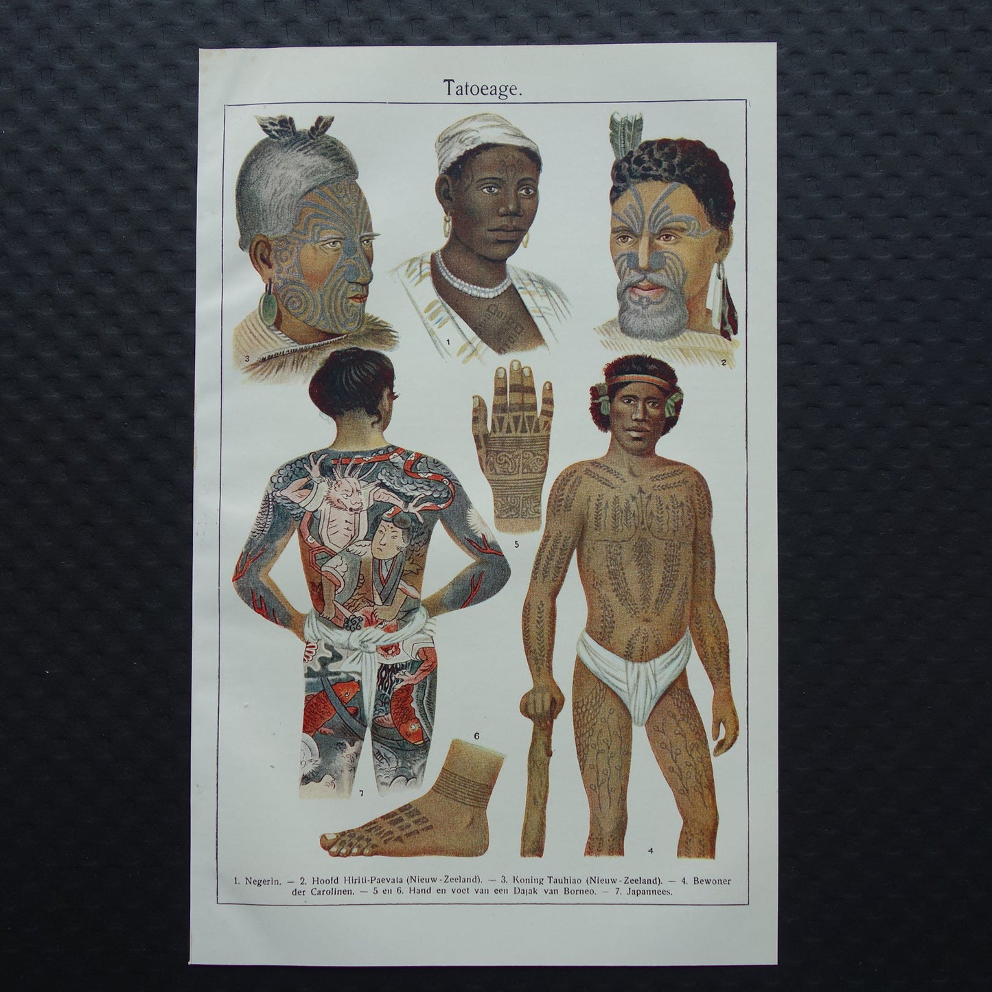 TATOEAGE oude prent uit 1922 Originele antieke Nederlandse illustratie Tatoeages vintage prints