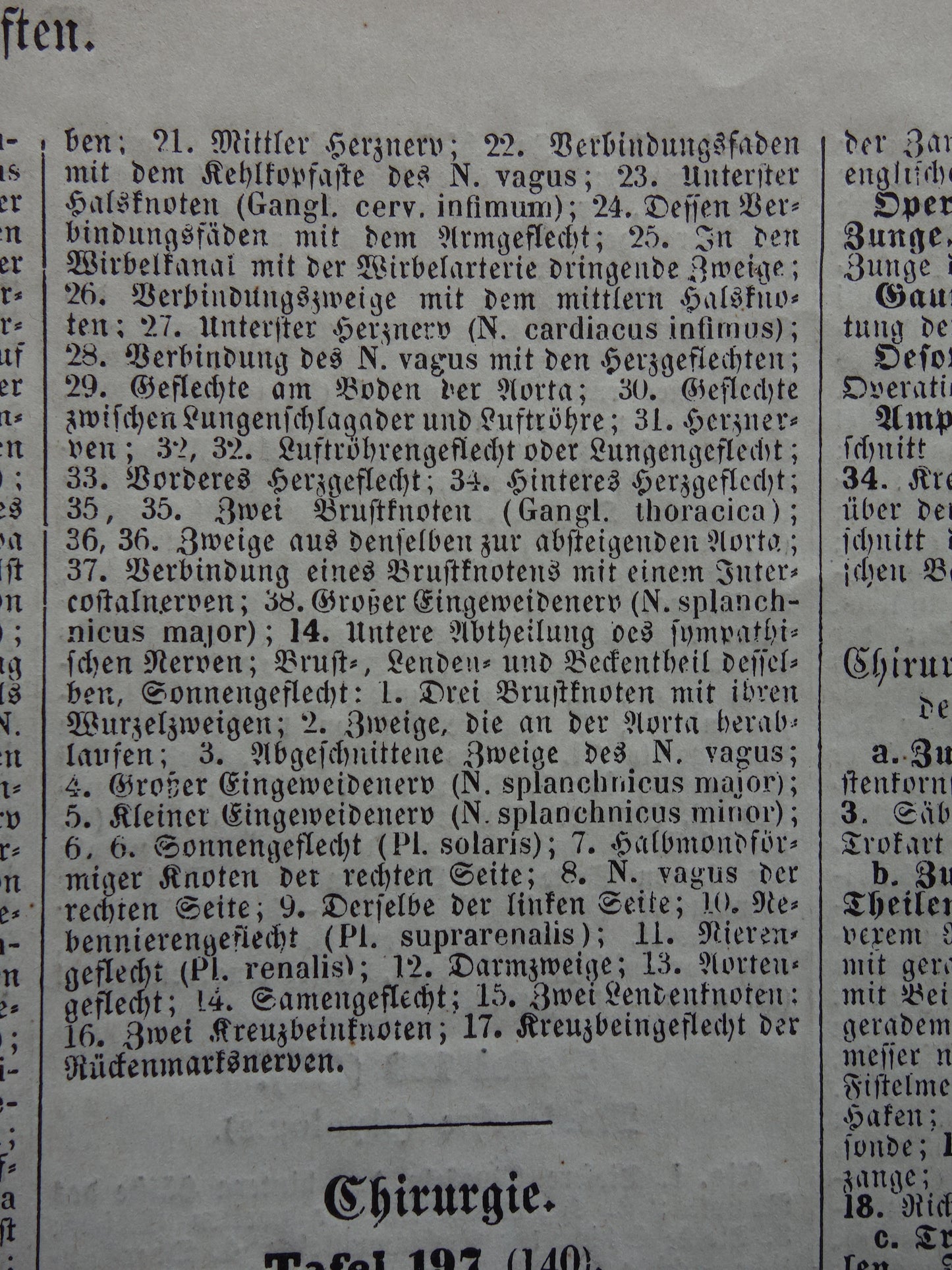 ZENUWSTELSEL Oude Anatomie Prent Zenuwen Originele antieke anatomische illustratie vintage print