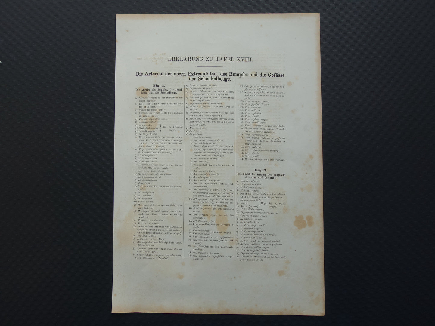 Oude anatomie prent bloedvaten in arm en romp 1871 Originele antieke gravure slagaders Vintage anatomische illustratie