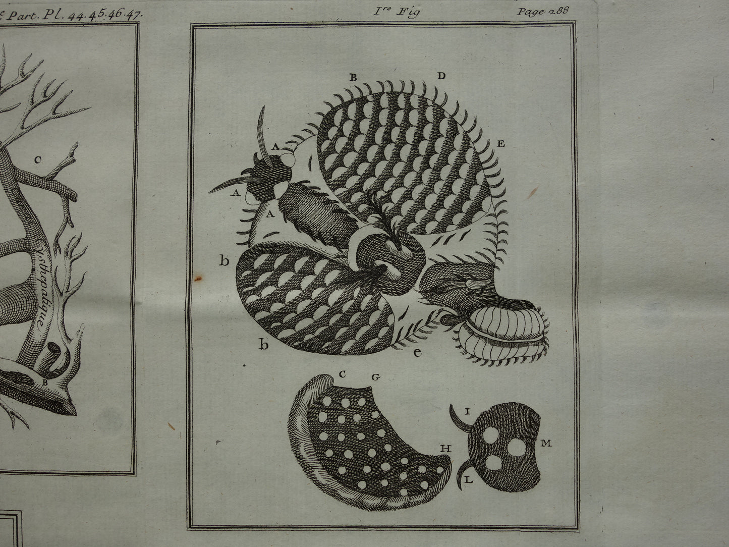 Set van 3 oude prenten ter illustratie Wetenschappelijke artikelen journal des scavans