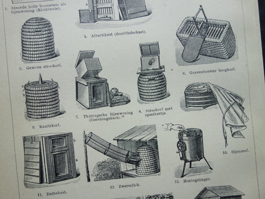 BEES Old print At Beekeeper Beehive original vintage illustration print Beekeeping