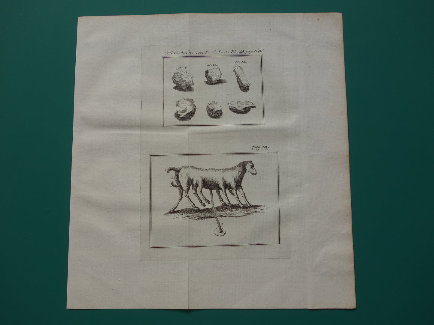 Set van 3 oude prenten ter illustratie Wetenschappelijke artikelen journal des scavans