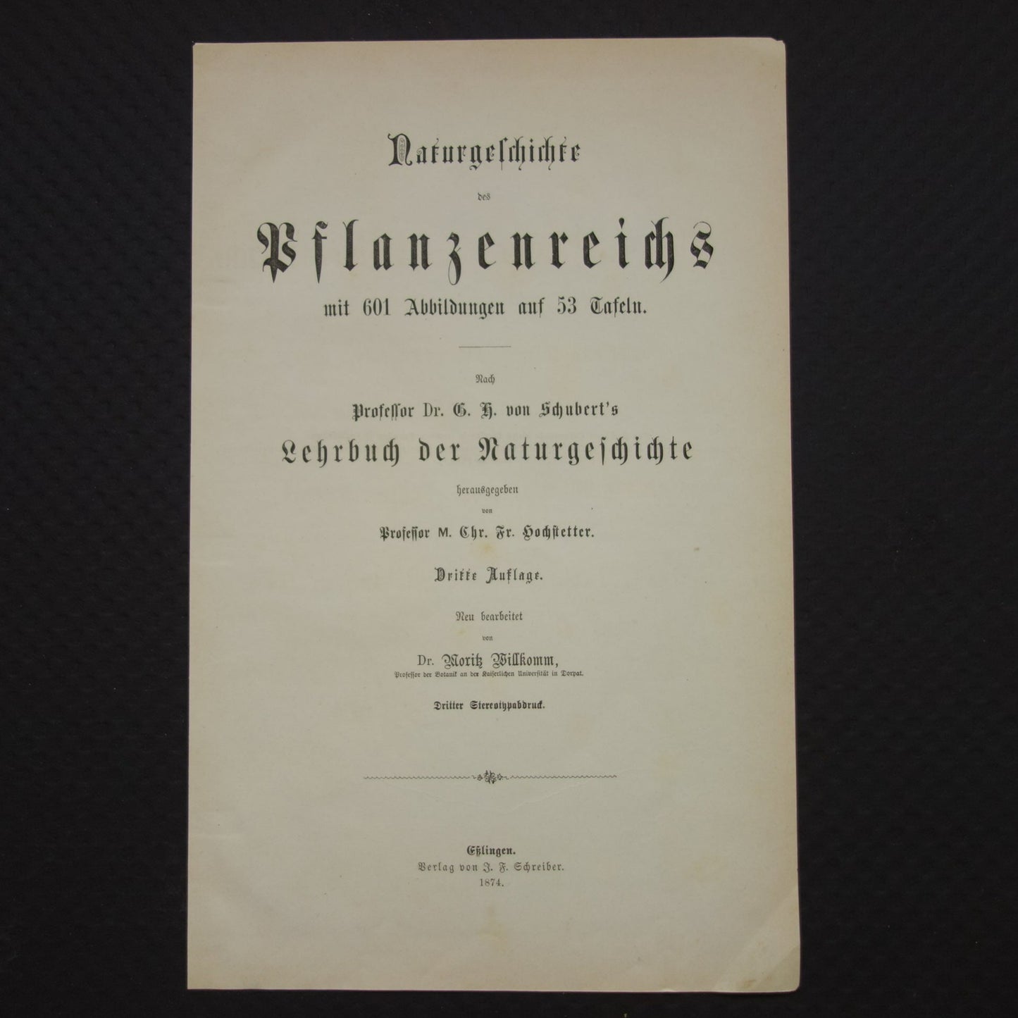 Oude Botanische Prent uit 1874 Gentiaan Mirte Druif Antieke Illustratie - Originele Vintage Bloemen Print