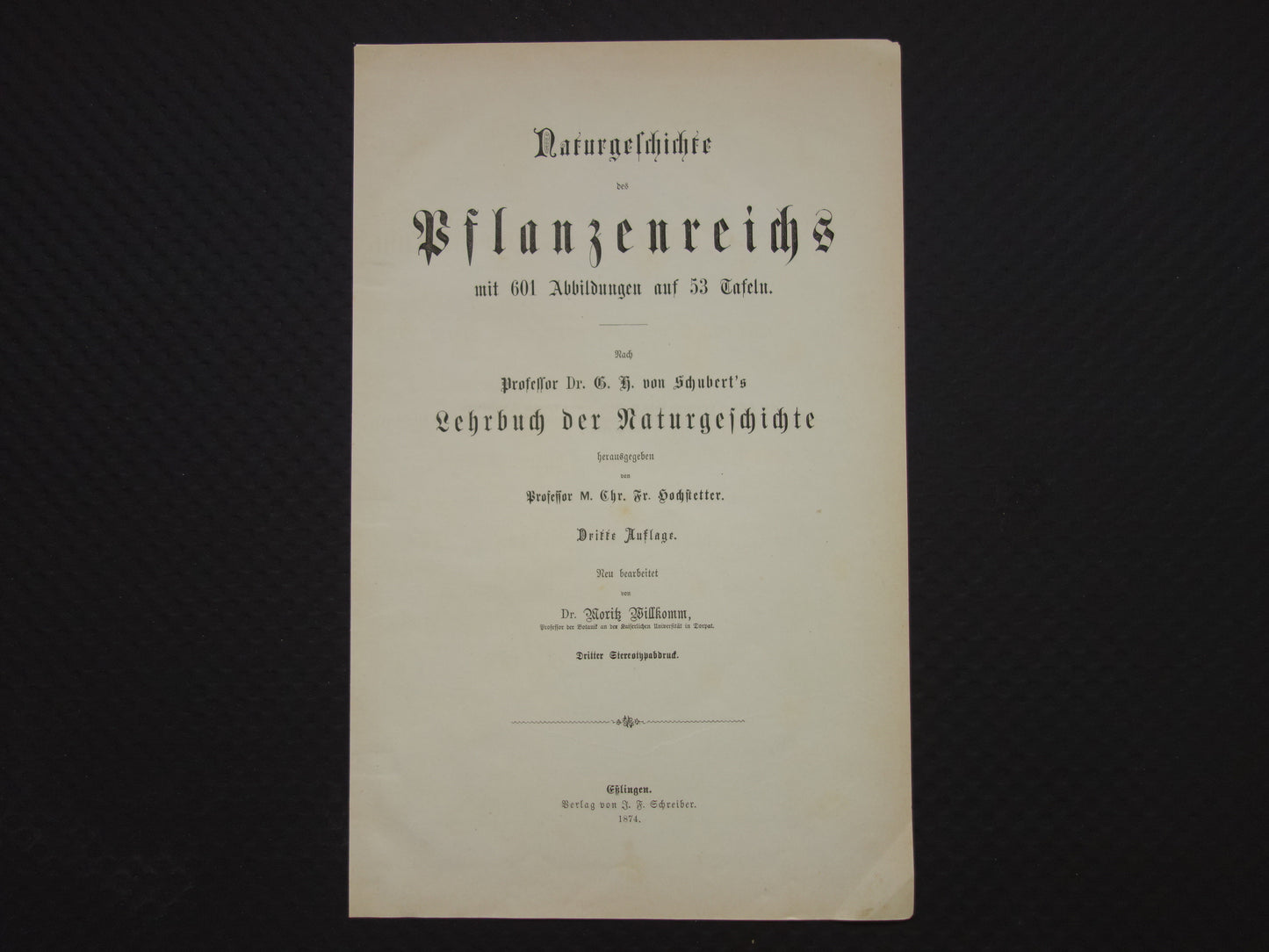 150+ Jaar Oude Botanische Prent Venkel Pastinaak Antieke Illustratie - Originele Vintage Bloemen Print