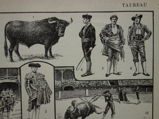 Stierkampf, antiker Druck, alte Illustration, Toreador-Stierkampf, Vintage-Druck auf Französisch