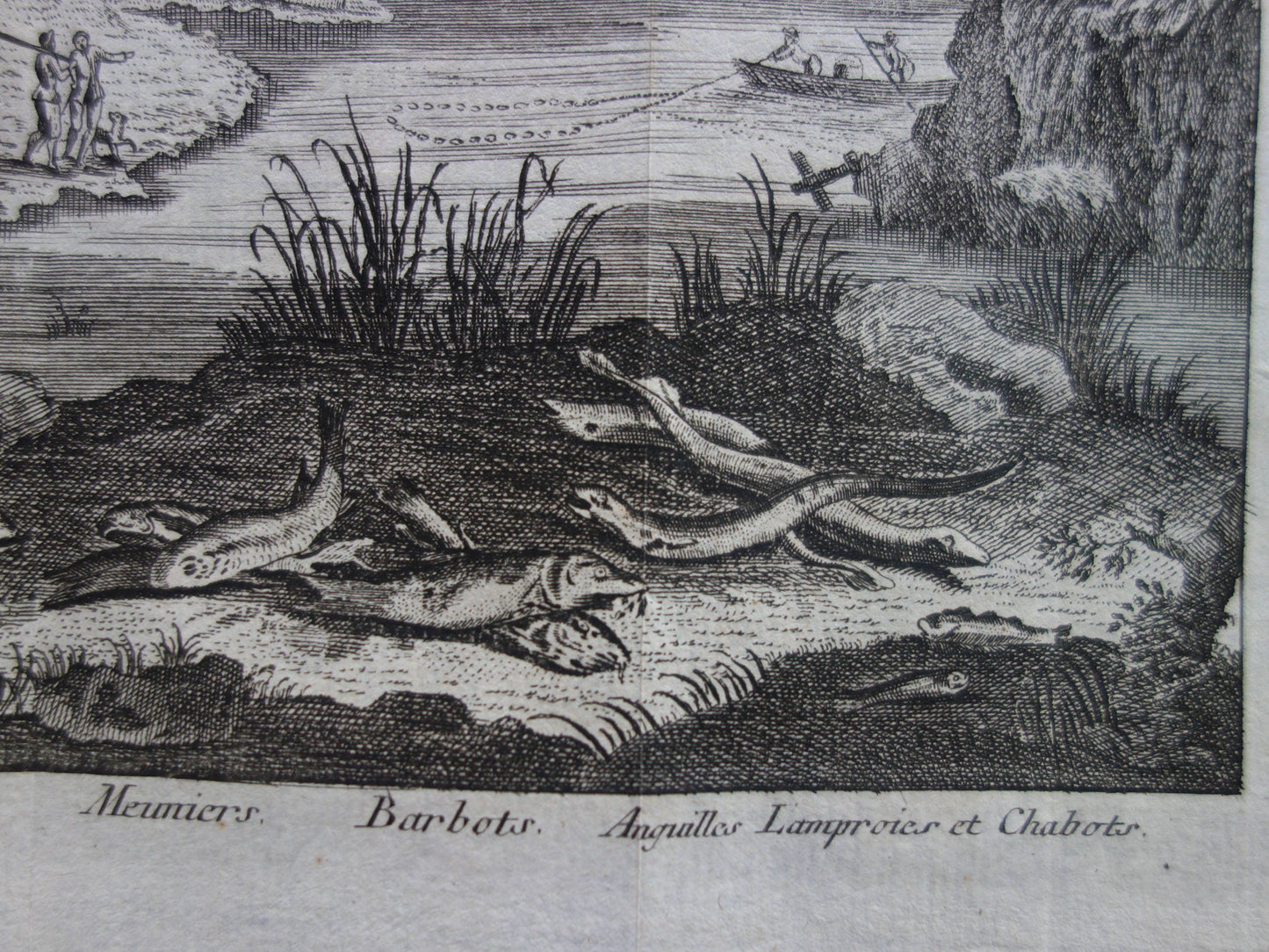 VISSEN & VISSERIJ Set van 2 originele antieke gravures 1771 Prenten Visser Vissoorten Oude Prints