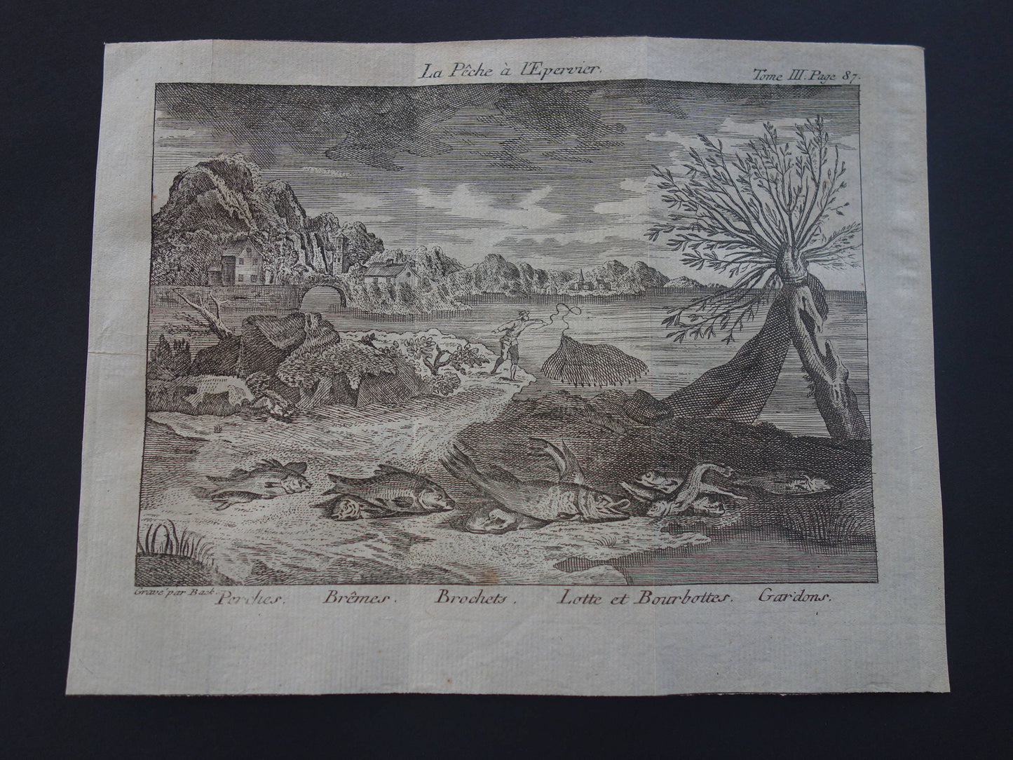 VISSEN & VISSERIJ Set van 2 originele antieke gravures 1771 Prenten Visser Vissoorten Oude Prints