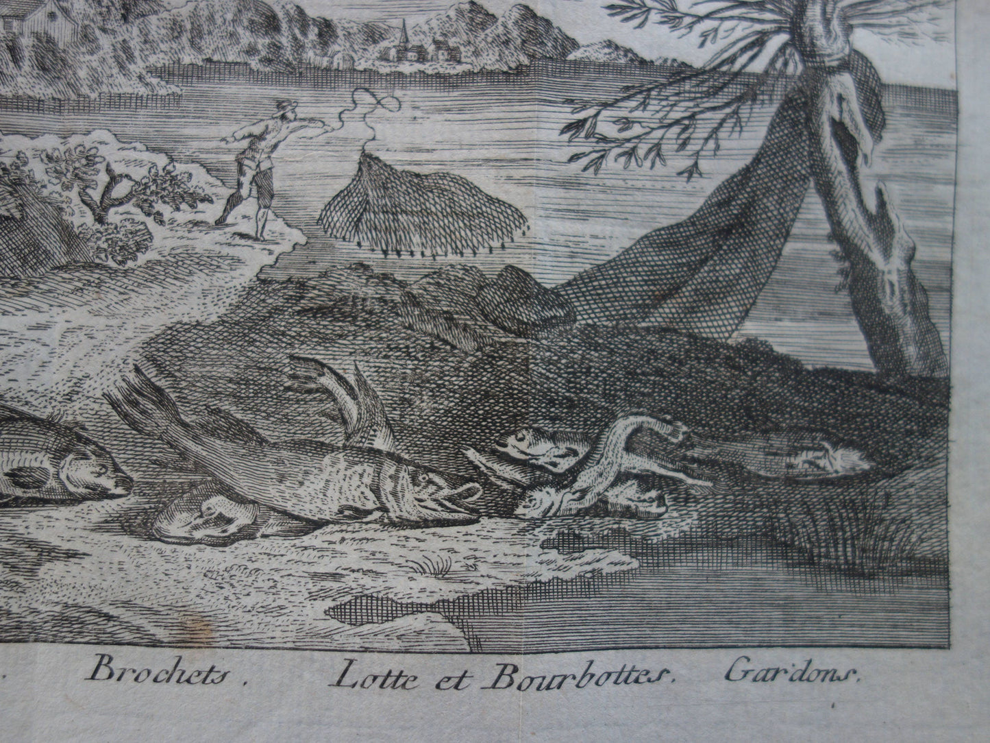 VISSEN & VISSERIJ Set van 2 originele antieke gravures 1771 Prenten Visser Vissoorten Oude Prints