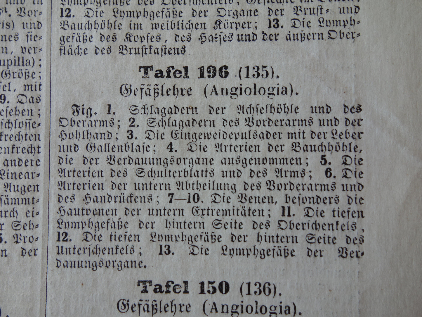 Oude Anatomische Prent Originele antieke anatomie illustratie angiologie vintage print van Bloedvaten Slagaders