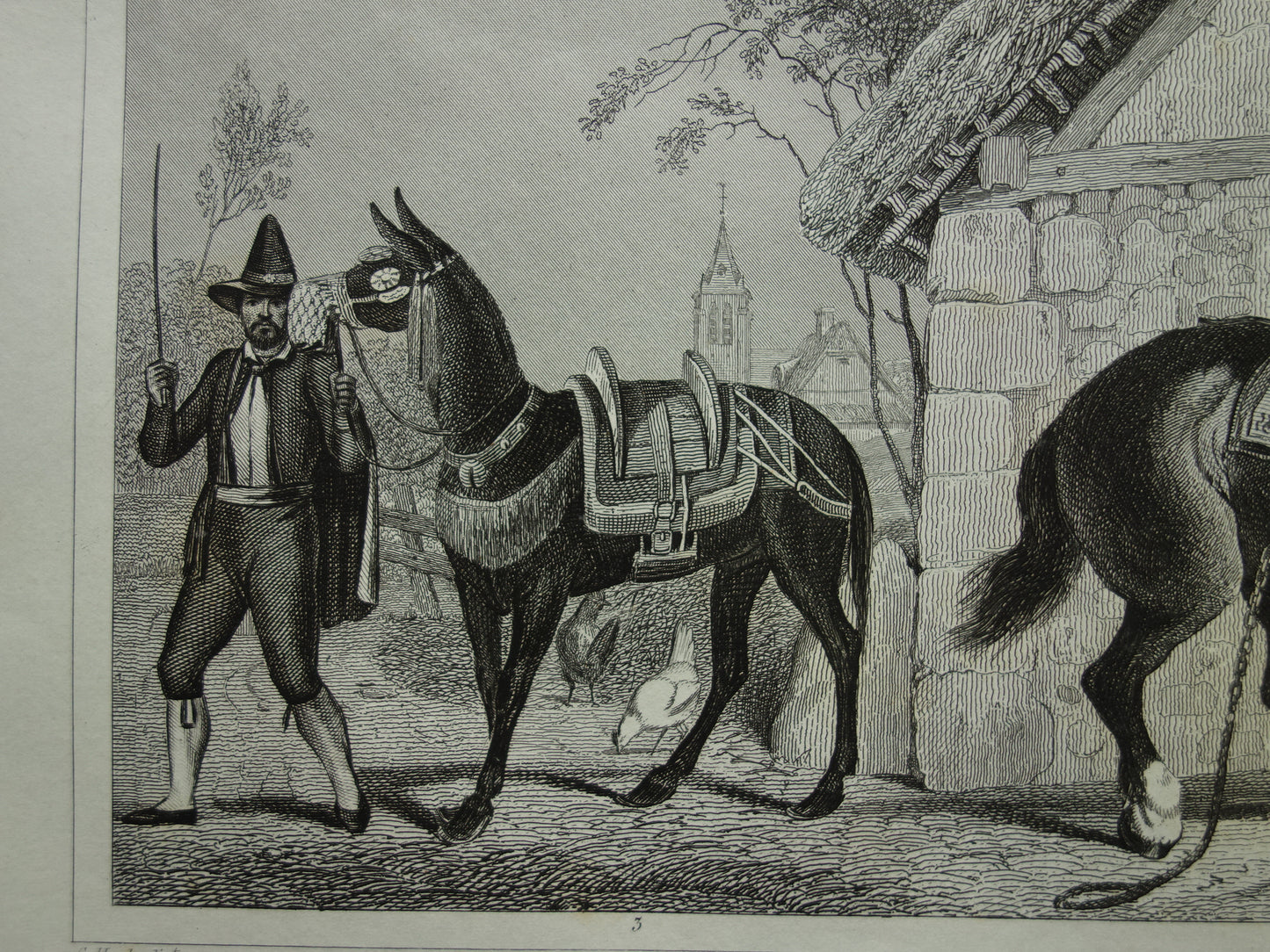 Antique print of Horses original 170+ year old illustration horse horse breeds vintage print