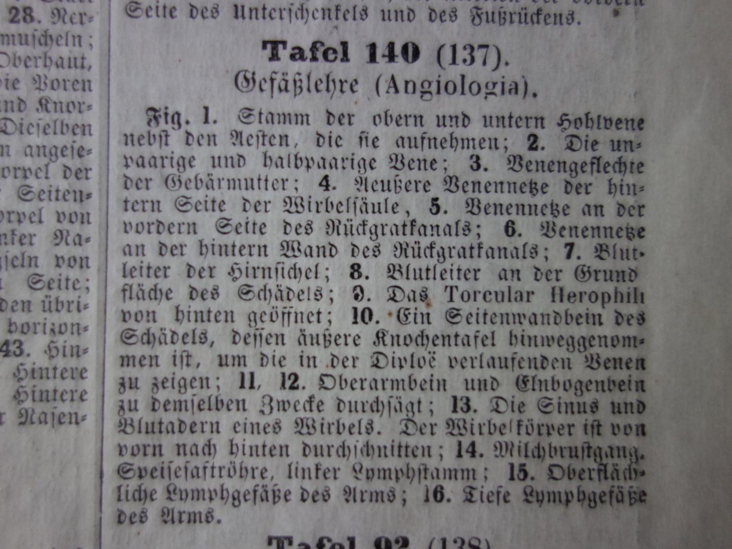 Angiologie Antieke anatomie prent uit 1849 met afbeeldingen van bloedvaten lymfevaten oude print