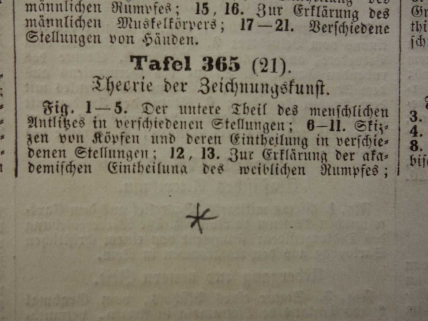 Oude prent schilderkunst theorie proporties van het menselijk lichaam originele antieke illustratie vintage prints