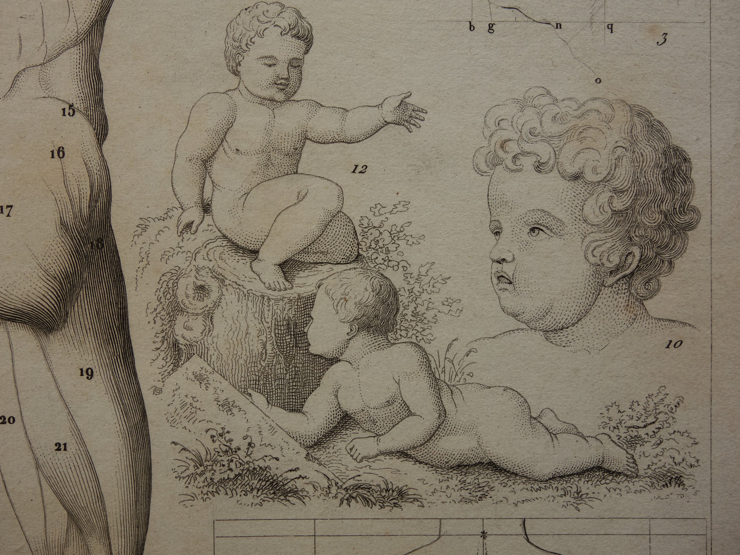 Oude prent over theorie schilderkunst en spieren en proporties van het menselijk lichaam originele antieke illustratie vintage prints