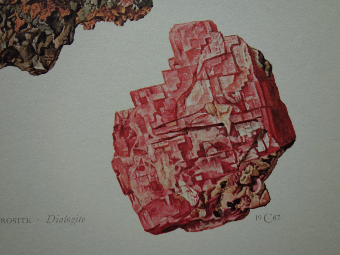 Rhodochrosiet mineraal illustratie print