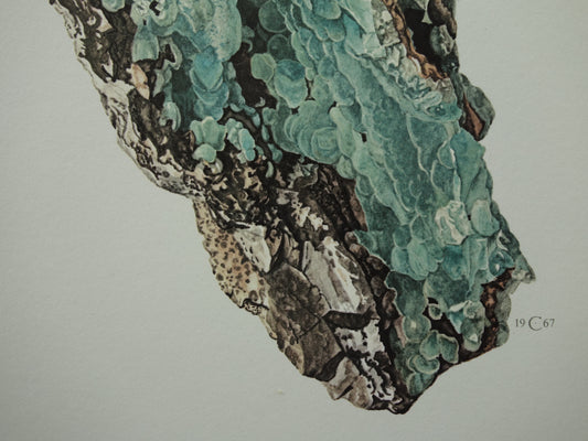 Prenten van Mineralen en Edelstenen Vintage Illustratie Scheeliet Strontianiet Smithsoniet Kristal Mineraal Muurdecoratie Kristallen