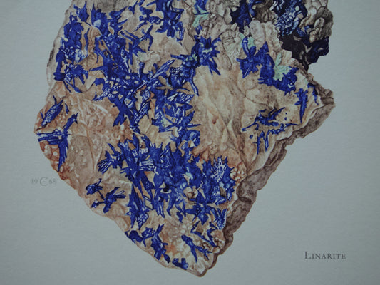 Vintage Mineralen Prenten Linariet Uraniniet 3 Oude Illlustratie Stenen Rotsen Edelstenen Muurdecoratie Kristallen