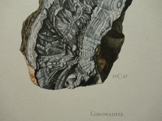 Set van 3 vintage mineralen prenten Drie oude mineraal prints kristallen edelstenen illustratie