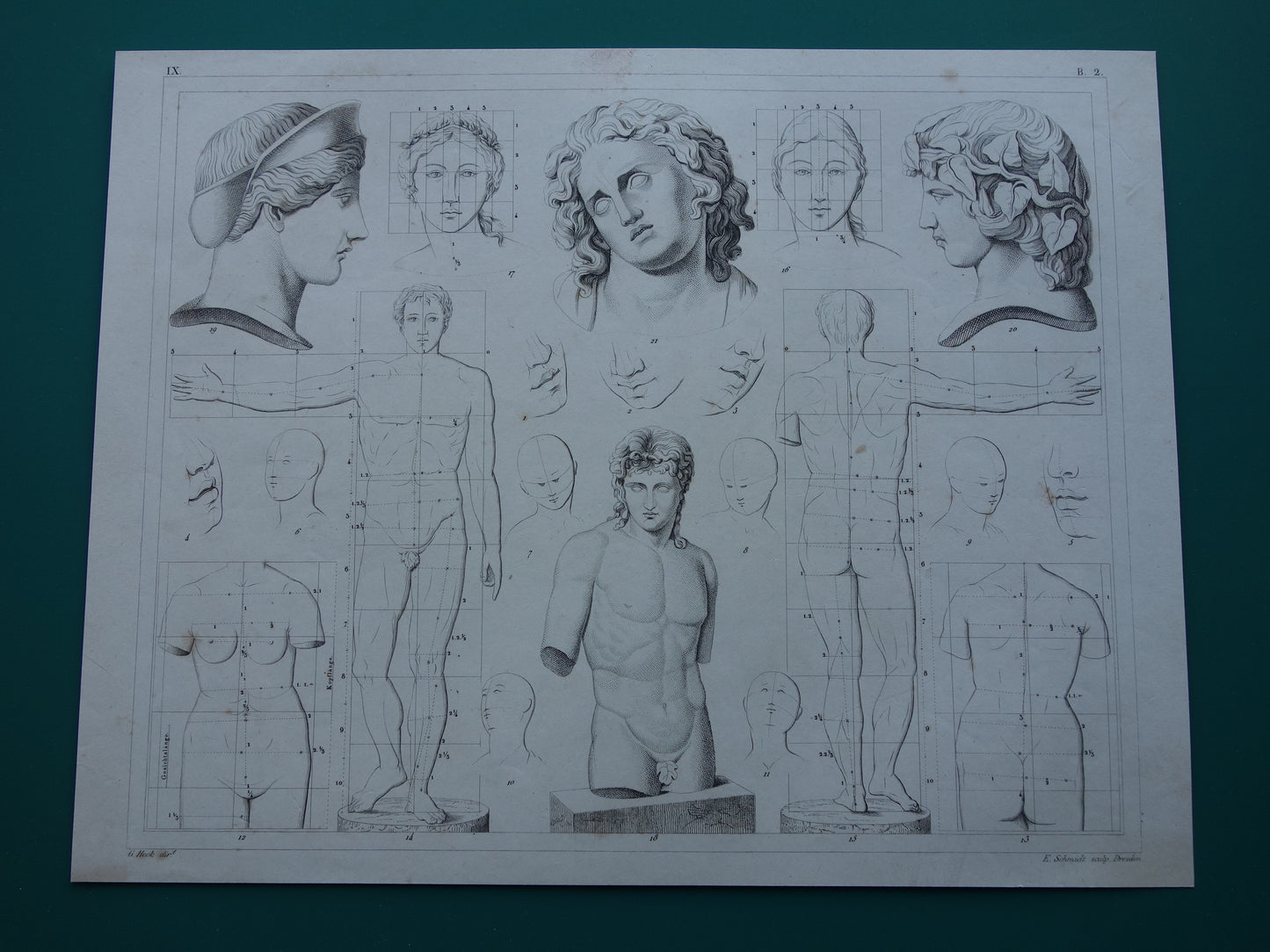Oude prent schilderkunst theorie proporties van het menselijk lichaam originele antieke illustratie vintage prints