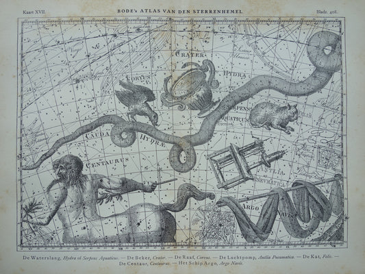 Oude astrologie prent van sterrenbeelden Centaur Raaf Kat Antieke sterrenkaart sterrenbeeld Waterslang Hydra Centaurus Felis vintage asronomie print