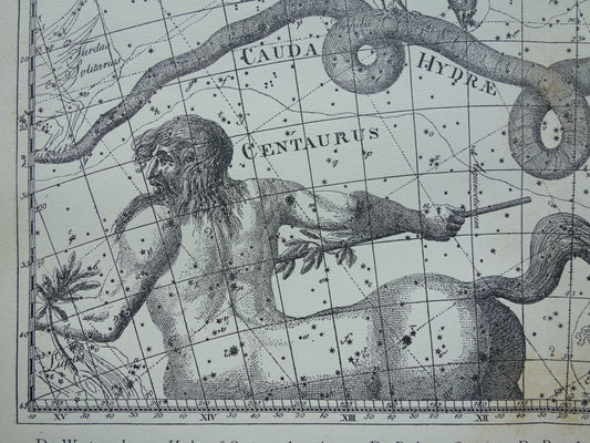 Oude astrologie prent van sterrenbeelden Centaur Raaf Kat Antieke sterrenkaart sterrenbeeld Waterslang Hydra Centaurus Felis vintage asronomie print