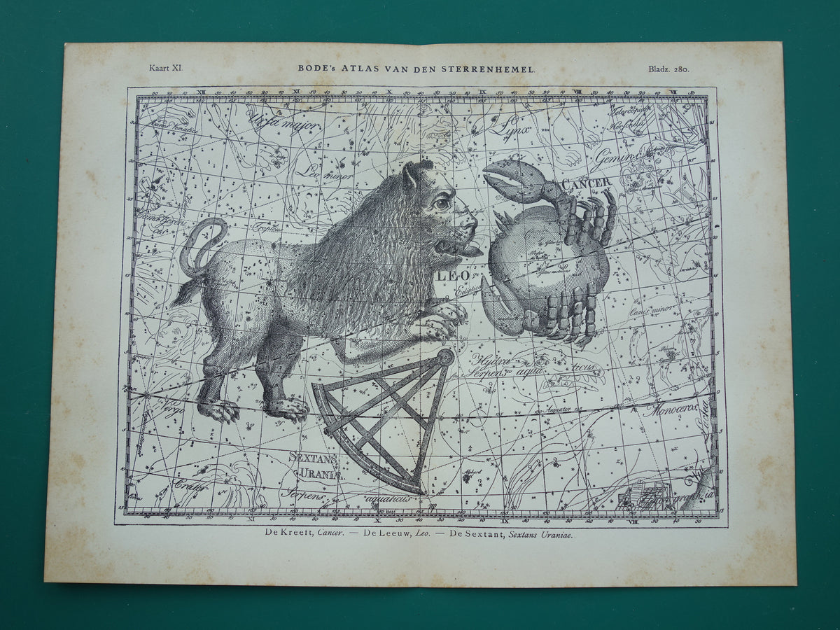 Leeuw en Kreeft Oude astrologie prent van sterrenbeeld Antieke sterrenkaart astronomie - Sterrenbeelden vintage print