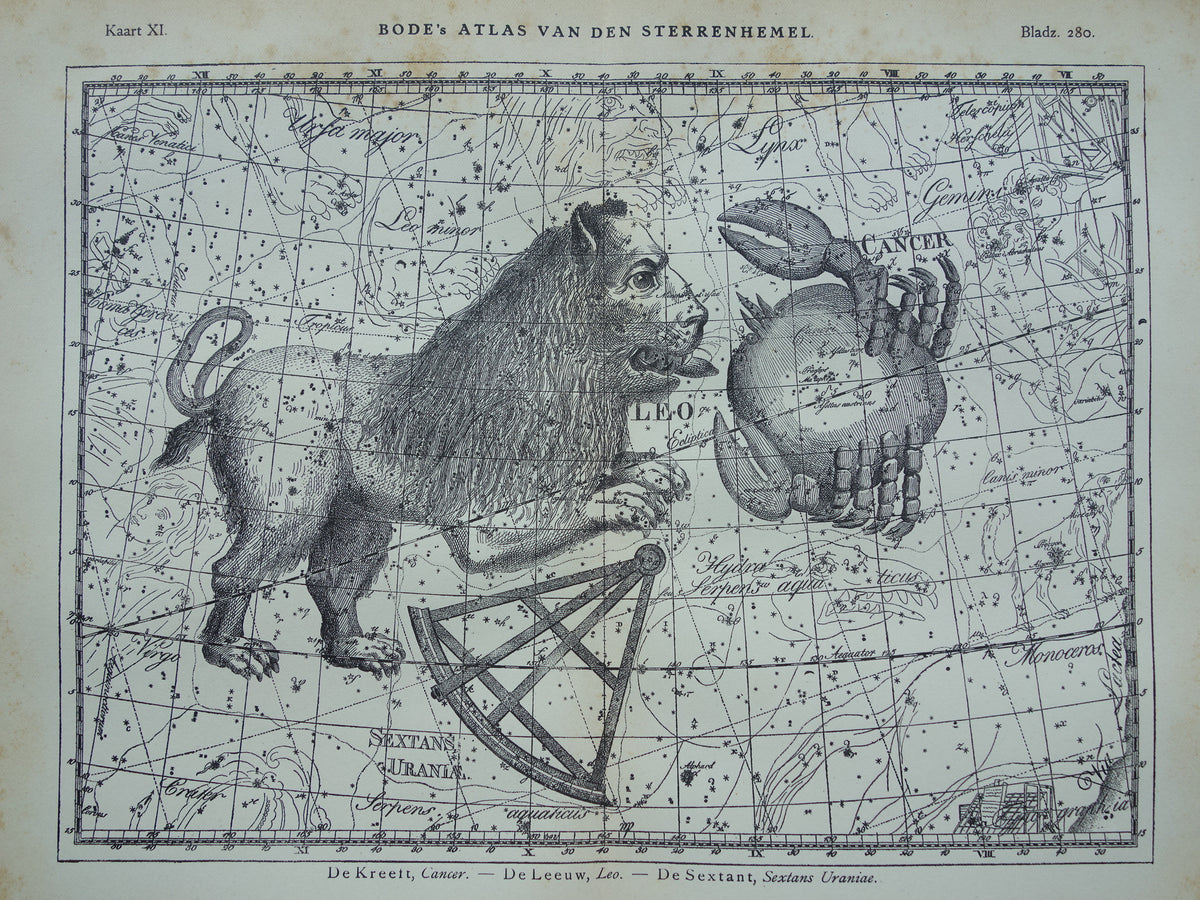 Leeuw en Kreeft Oude astrologie prent van sterrenbeeld Antieke sterrenkaart astronomie - Sterrenbeelden vintage print