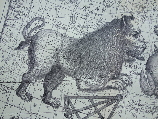 Leeuw en Kreeft Oude astrologie prent van sterrenbeeld Antieke sterrenkaart astronomie - Sterrenbeelden vintage print