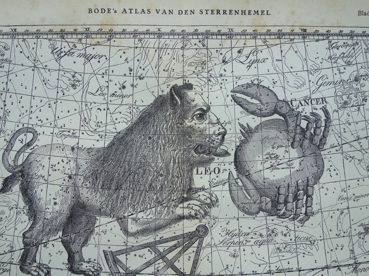 Leeuw en Kreeft Oude astrologie prent van sterrenbeeld Antieke sterrenkaart astronomie - Sterrenbeelden vintage print