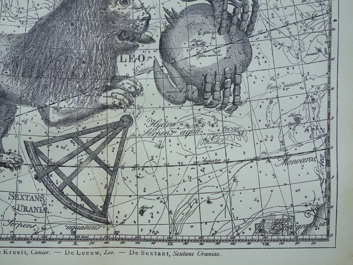 Leeuw en Kreeft Oude astrologie prent van sterrenbeeld Antieke sterrenkaart astronomie - Sterrenbeelden vintage print