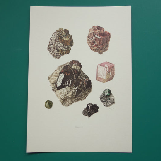 Granaat Mineraal vintage prent 1967 Oude Mineralen Edelstenen Illustratie Almandien Muurdecoratie cadeau Mineralogie decoratie Kristal