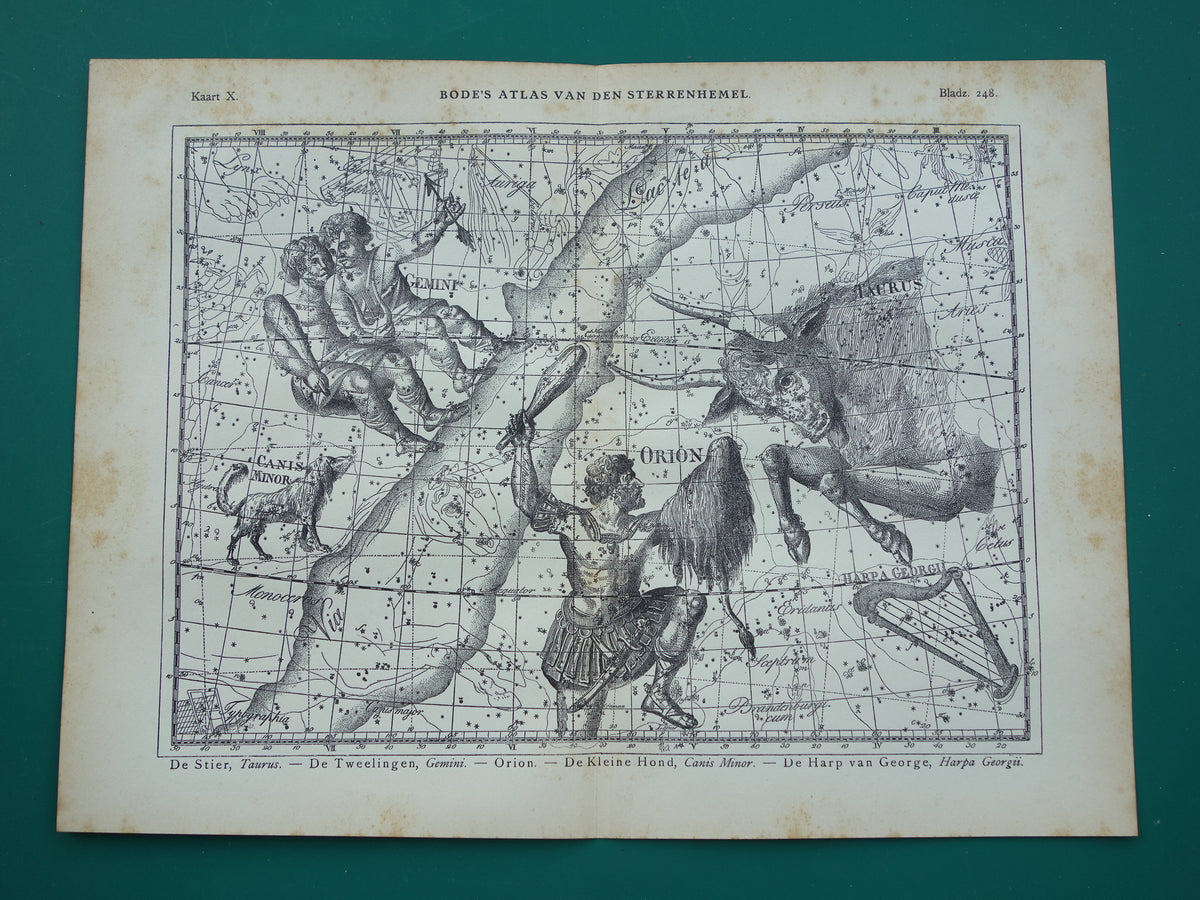 Sterrenbeeld Tweelingen en Stier Antieke prent sterrenkaart astrologie sterrenbeelden oude vintage astronomie print
