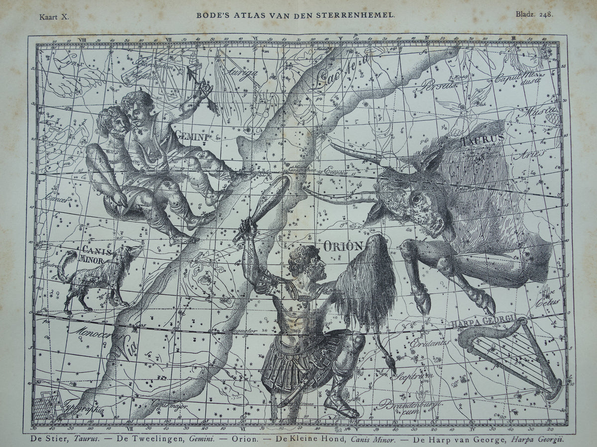 Sterrenbeeld Tweelingen en Stier Antieke prent sterrenkaart astrologie sterrenbeelden oude vintage astronomie print