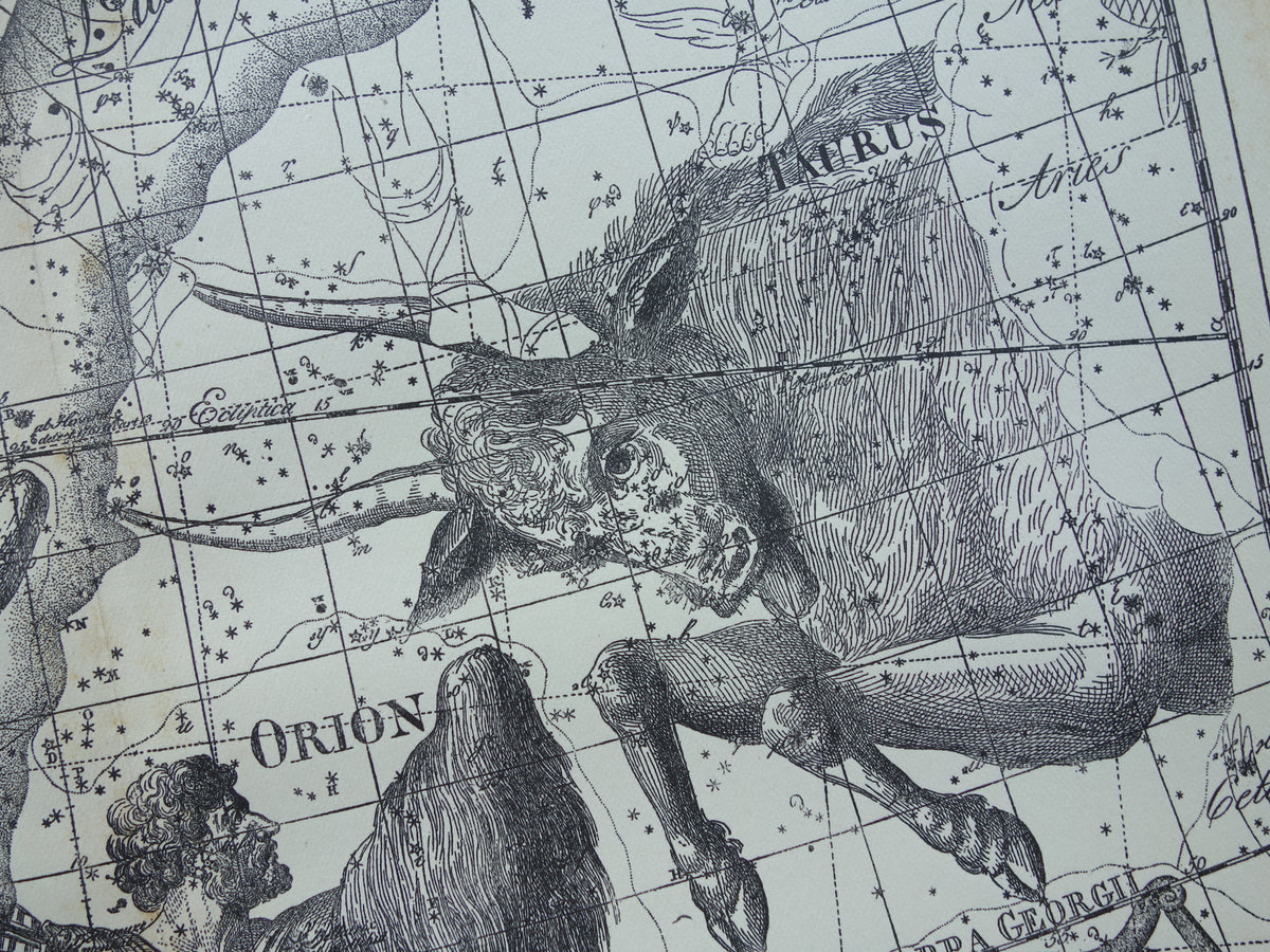 Sterrenbeeld Tweelingen en Stier Antieke prent sterrenkaart astrologie sterrenbeelden oude vintage astronomie print